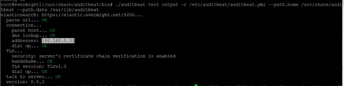 Verify auditbeat configuration