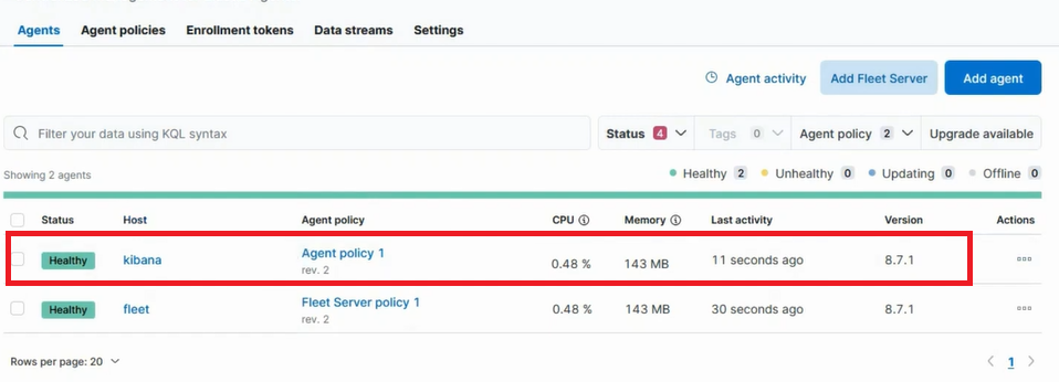 Nginx Integration Success