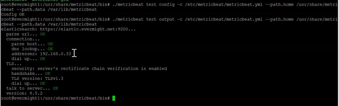 Verify metricbeat configuration